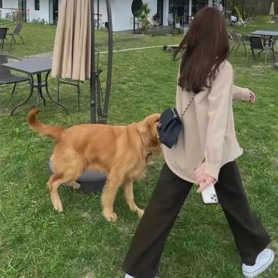 初代吸血鬼第二季